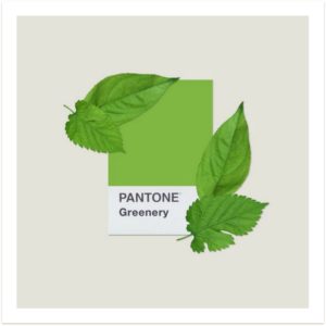Pantone Greenery